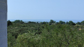 Sea view accommodation close to Halikounas beach
